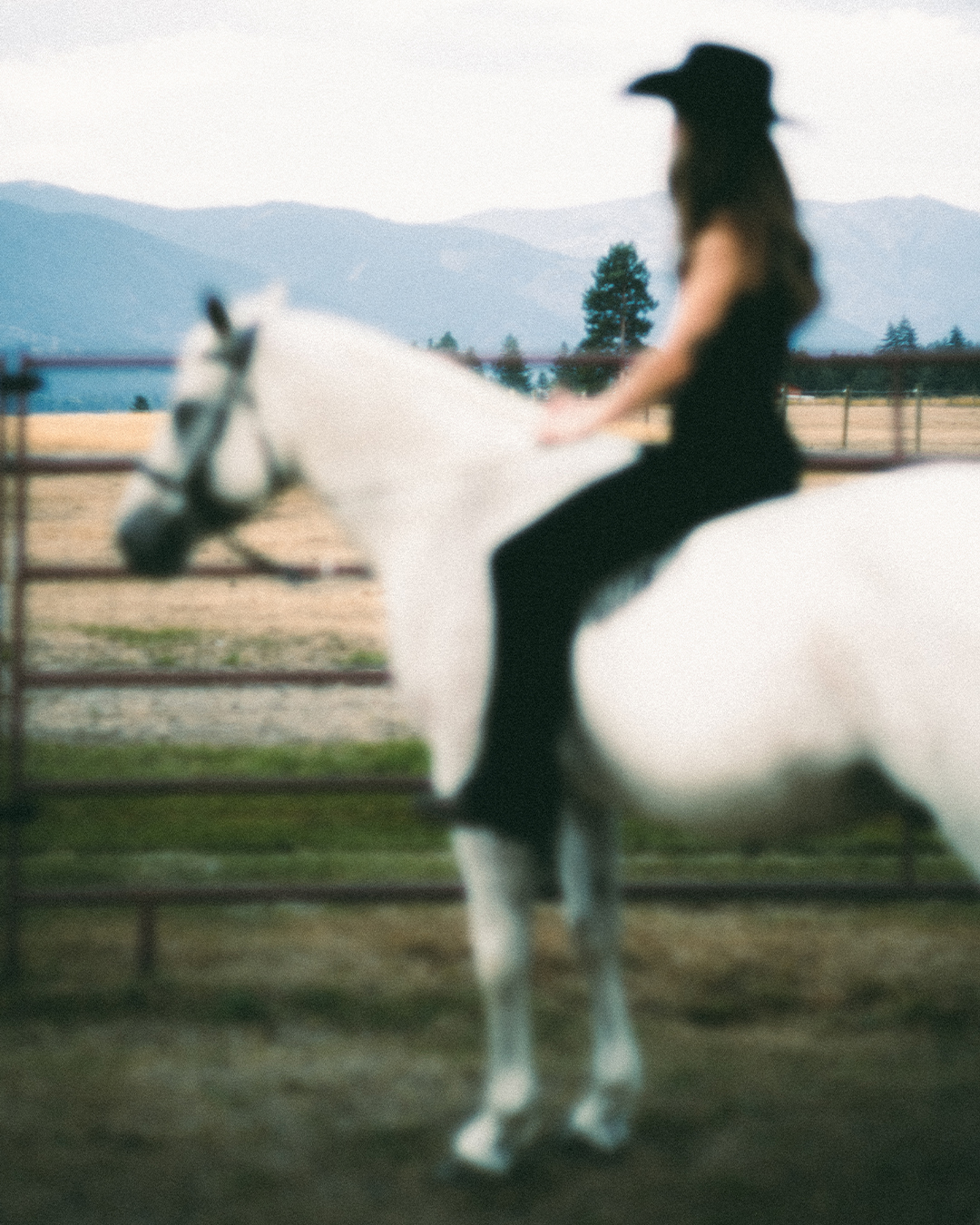 Creative Editorial Portraits with Horses on a Private Ranch in Montana — photograph 18 of 20